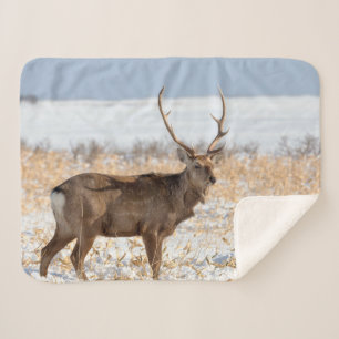 Sika Stag In a Snowy Field   Japan Sherpa Blanket