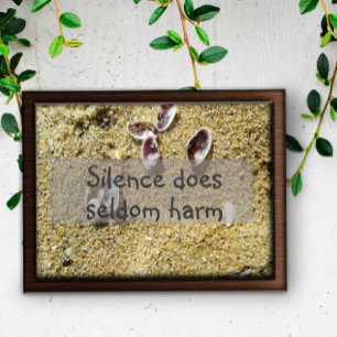 Silence does seldom harm saying poster