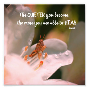 Silence Inspirational Rumi Quote 8x8 Photo Print