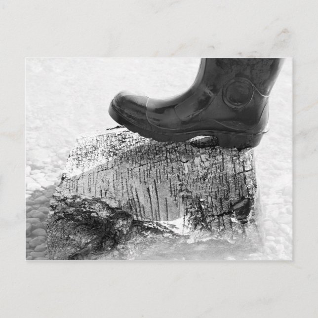 silence surfaces postcard (Front)