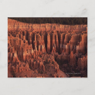 Silent City at sunrise , Bryce Canyon National Postcard