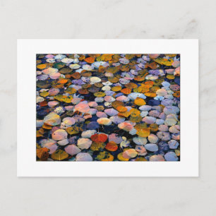 "Silent Drift" Postcard