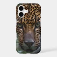 "Silent Hunter: The Jaguar Stalks the Forest"