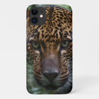 "Silent Hunter: The Jaguar Stalks the Forest"