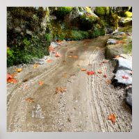 Silent Passage - 流 (Flow) - Japanese Wabi-Sabi Pho