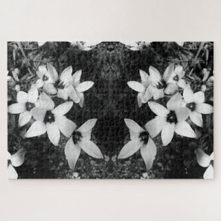 Silent Symmetry Jigsaw Puzzle