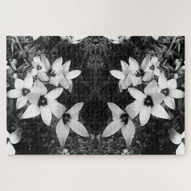Silent Symmetry Jigsaw Puzzle (Horizontal)