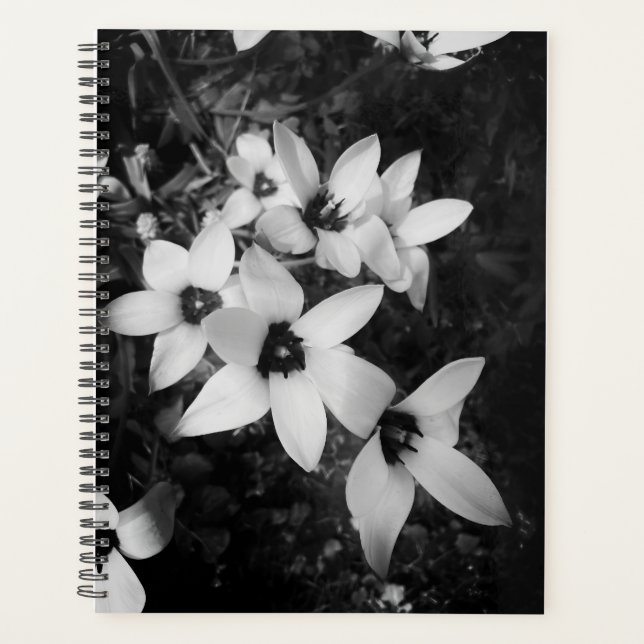 Silent Symmetry Planner (Front)