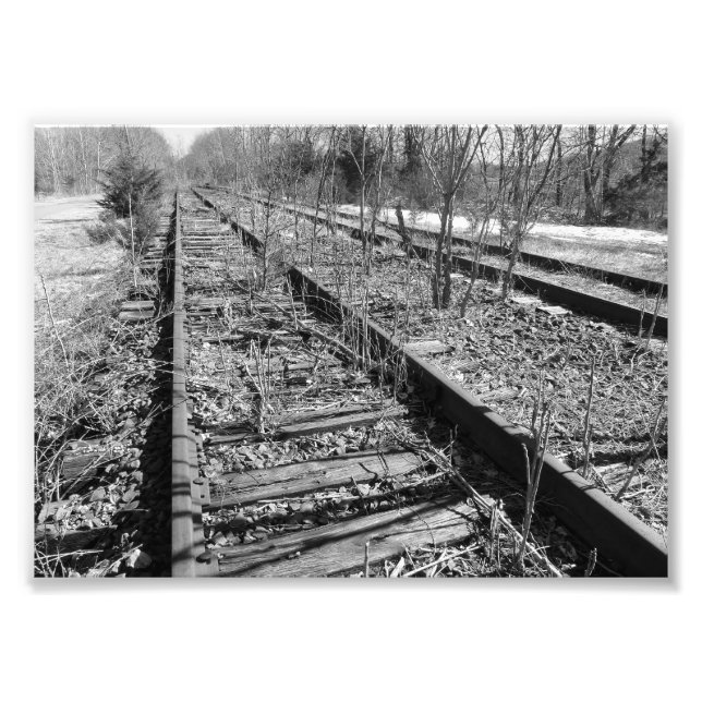 Silent Tracks 7x5 Black and White Photographic Pri Photo Print (Front)