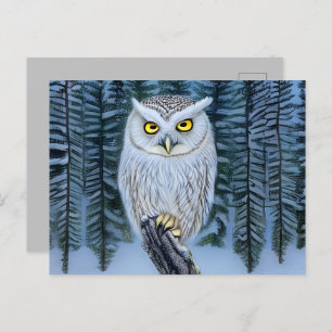 Silent Watch - Northern Winter Woods Gray Owl Postcard