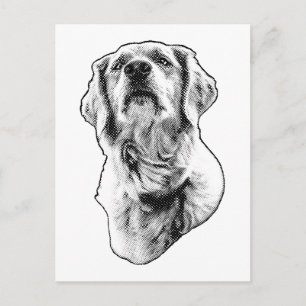 Silent Wonder, Dot Delivery Postcard