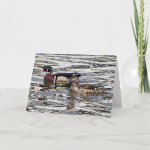 Silent wonders blank greeting card Wood Ducks