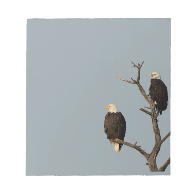 Silent Wonders Notepad Bald Eagles (Front)
