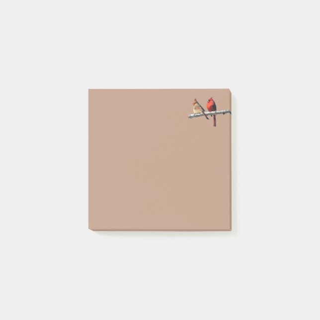 Silent wonders post it notes Cardinals. (Front)