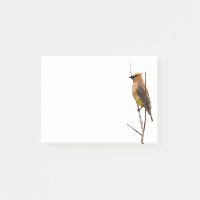 Silent Wonders Post it notes Cedar Waxwing (Front)