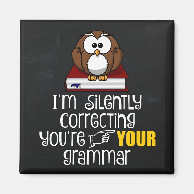 Silently Correcting Your Grammar Sarcastic Owl Magnet (Front)