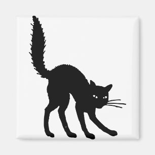 Silhouette Cat Halloween Black Cat Scared Angry Magnet