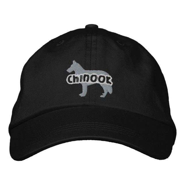 Silhouette Chinook Embroidered Hat (Front)