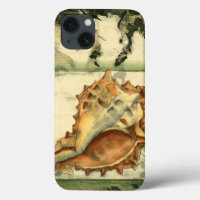 Silhouette Conch Shell