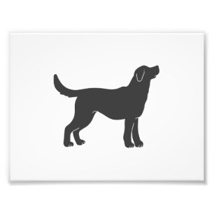 Silhouette dog standing - Choose background color Photo Print