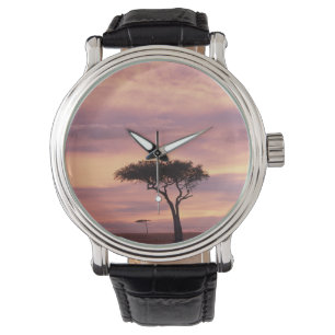 Silhouette image of acacia tree at sunrise watch