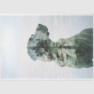 Silhouette Lab Exposed Film Decoupage  Tissue Paper