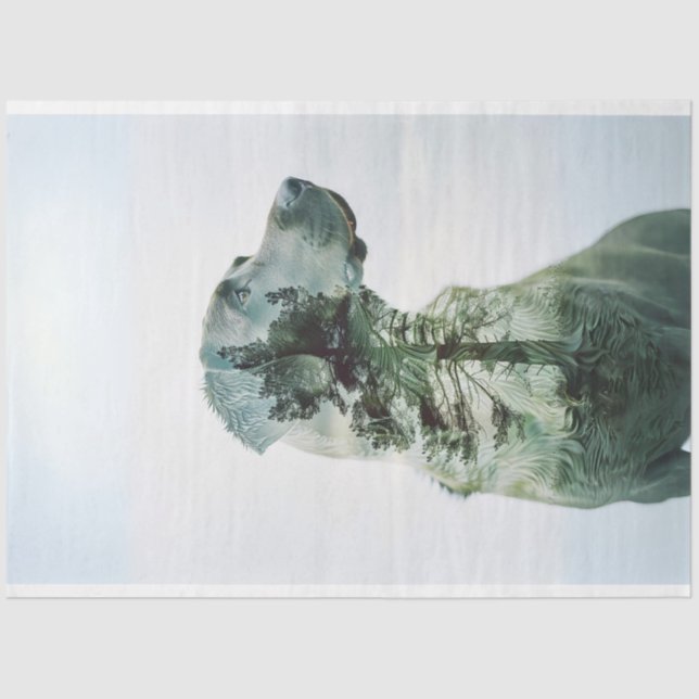 Silhouette Lab Exposed Film Decoupage  Tissue Paper (Front)