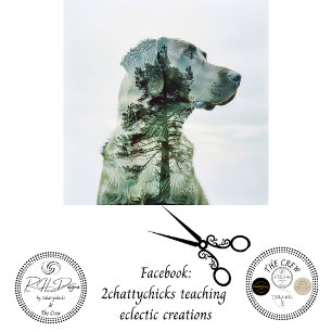 Silhouette Lab Exposed Film Decoupage Tissue Paper