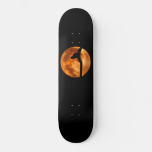 Silhouette of a Black Cat in a Tree Skateboard
