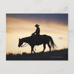 Silhouette of a Cowgirl on her horse against the Postcard