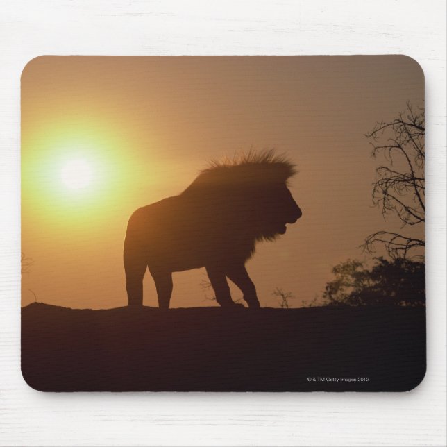 Silhouette of a lion mouse pad (Front)