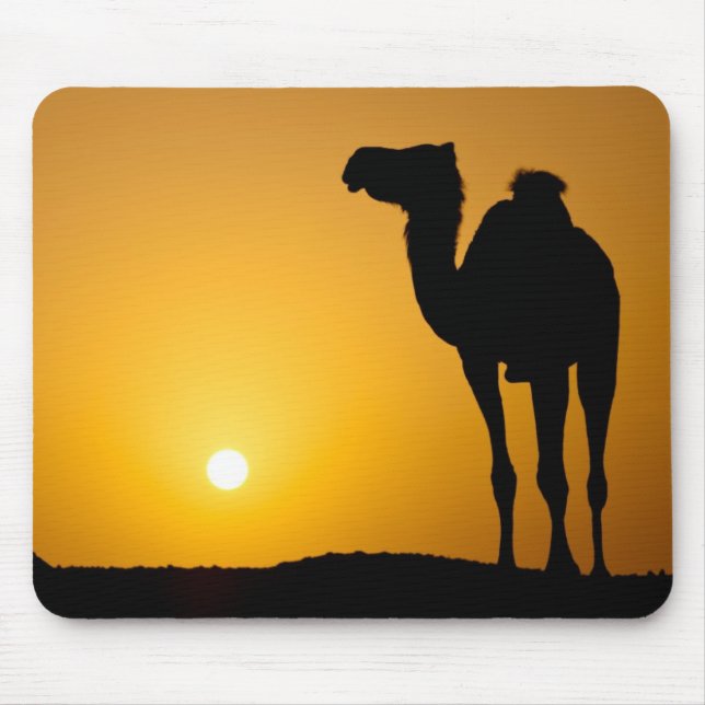 Silhouette of a wild camel at sunset mouse pad (Front)