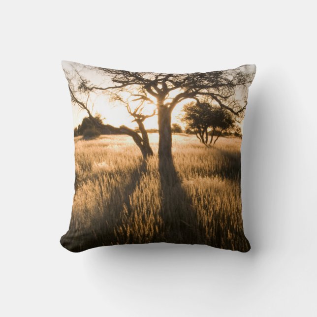 Silhouette Of Acacia Trees In Grass. Mariental Cushion (Front)