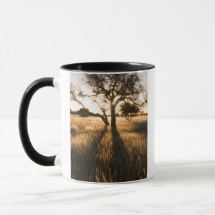 Silhouette Of Acacia Trees In Grass. Mariental Mug