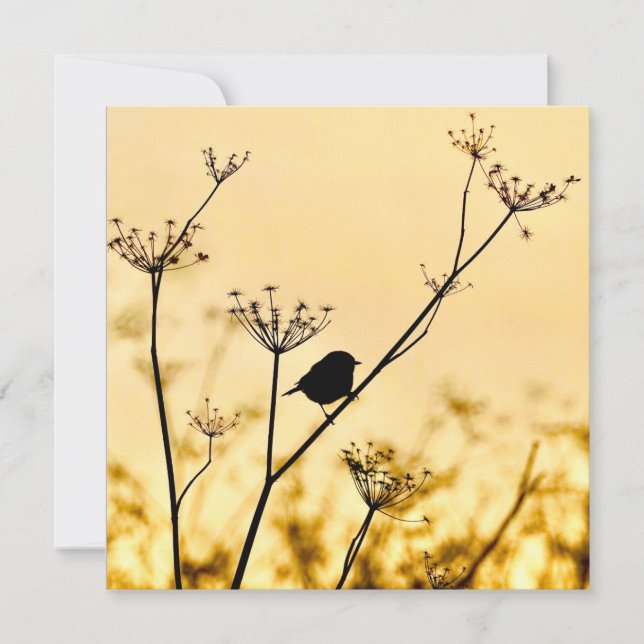 Silhouette of chickadee perched against gold light card (Front)
