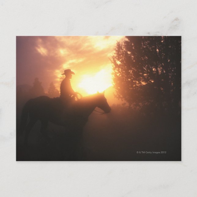 Silhouette of cowboy on a horse postcard (Front)