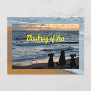 Silhouette of dog at ocean surf postcard