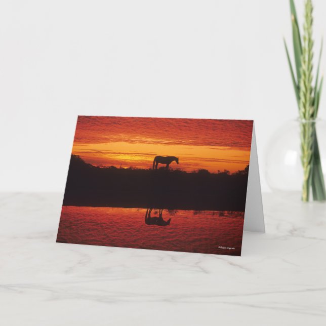 Silhouette of Horse against Sunset Sky Card (Front)