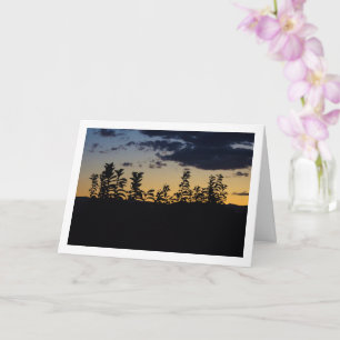 Silhouette of Leaves at Night Card