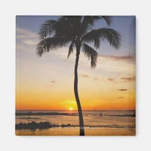 Silhouette of one Palm Tree by a Red Orange Sunset Magnet