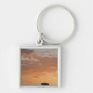 Silhouette of tree on plain, Masai Mara Key Ring