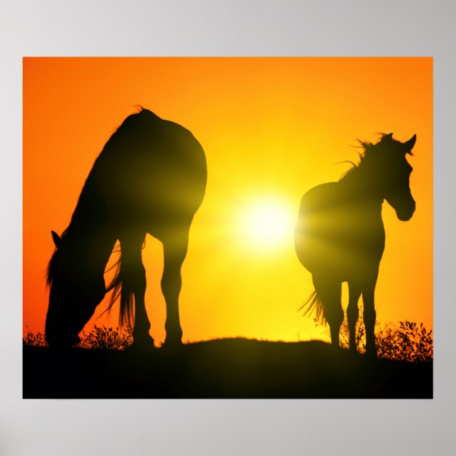 Silhouette of Two Horses at Sunset Poster (Front)