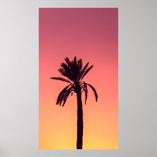 Silhouette photography of palm tree poster (Front)