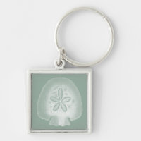 Silhouette Sand Dollar