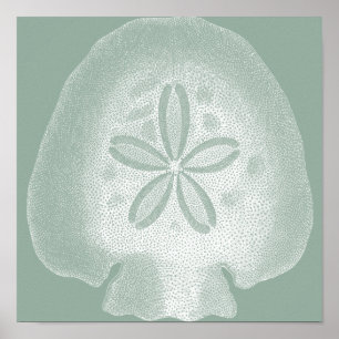 Silhouette Sand Dollar Poster