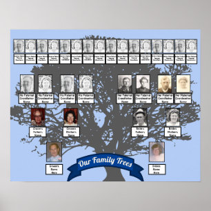 Silhouette Tree Photo Two Family Trees Poster