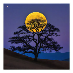 Silhouette Tree Under the Full Moon Photo Print