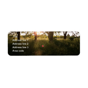 Silhouette Trees & Sunlight Wedding Address Labels