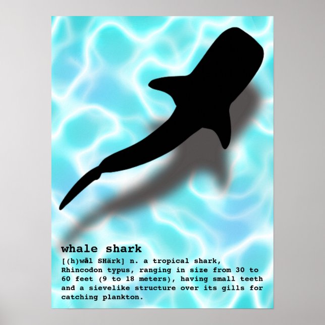 Silhouette Whale Shark with Definition Beach Poster (Front)