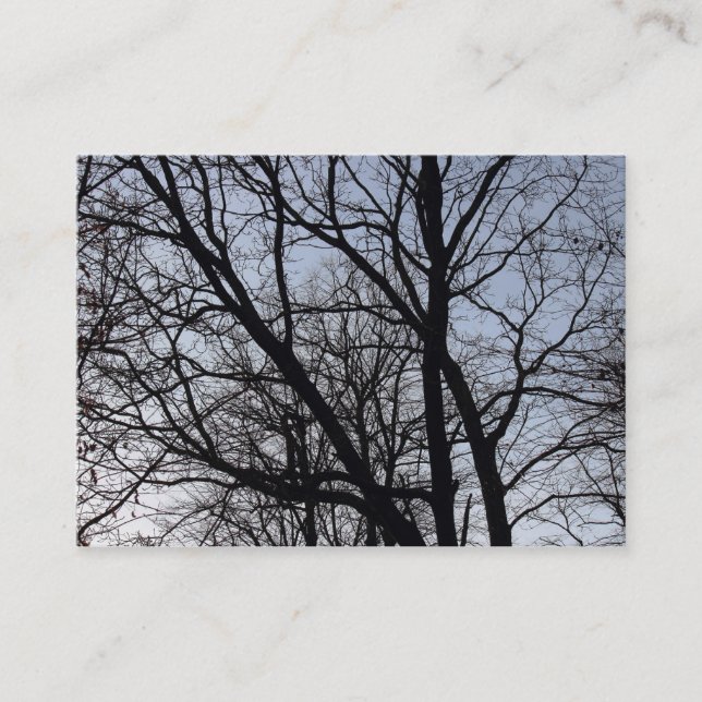 Silhouetted Branches Business Card (Front)